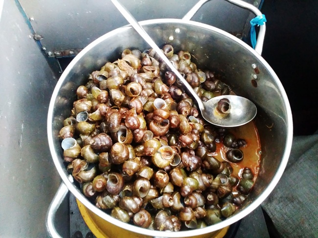 Manfaat Memakan Keong sawah atau tutut