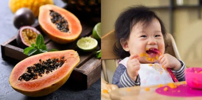 Buah Pepaya buah Tropis Kesehatan Tubuh