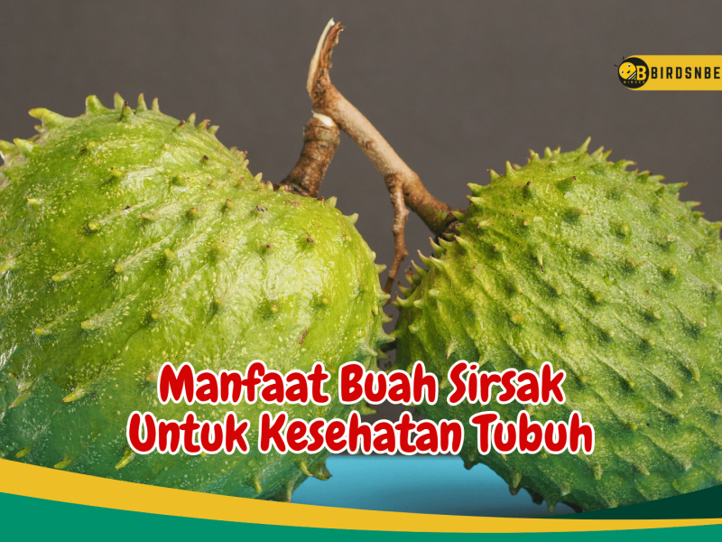 Riset Fakta Manfaat Buah Sirsak