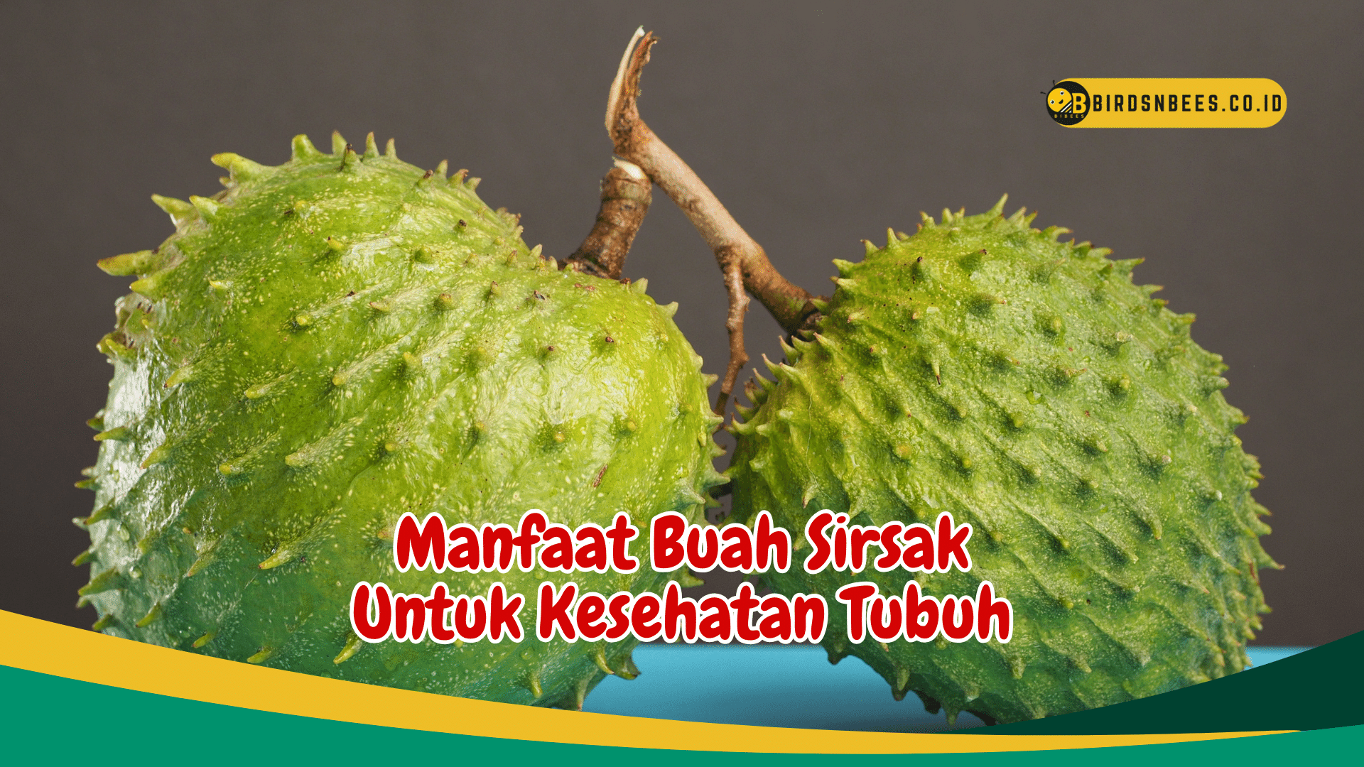 Riset Fakta Manfaat Buah Sirsak
