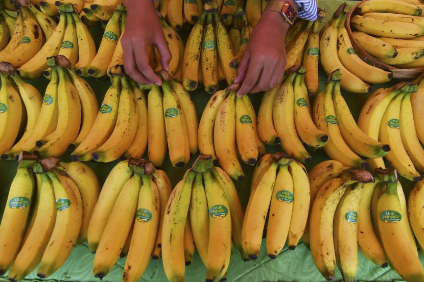 kajian lengkap manfaat buah pisang