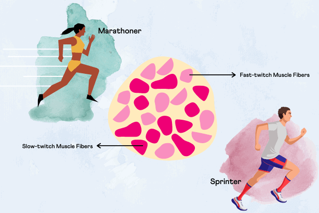 10 Fitness DNA Tips 2025 Diet Personal Based Genetik