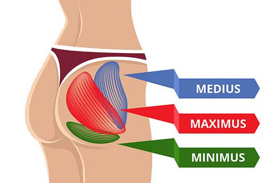 5 Teknik Cepat Membangun Glutes agar Otot Bokong Lebih Kuat dan Berkembang Maksimal