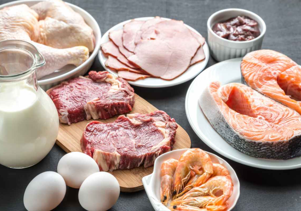 protein protein Gorgeous Vitalia