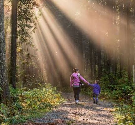 Terapi Alam (Nature Therapy), Benarkah Efektif untuk Kesehatan Mental?
